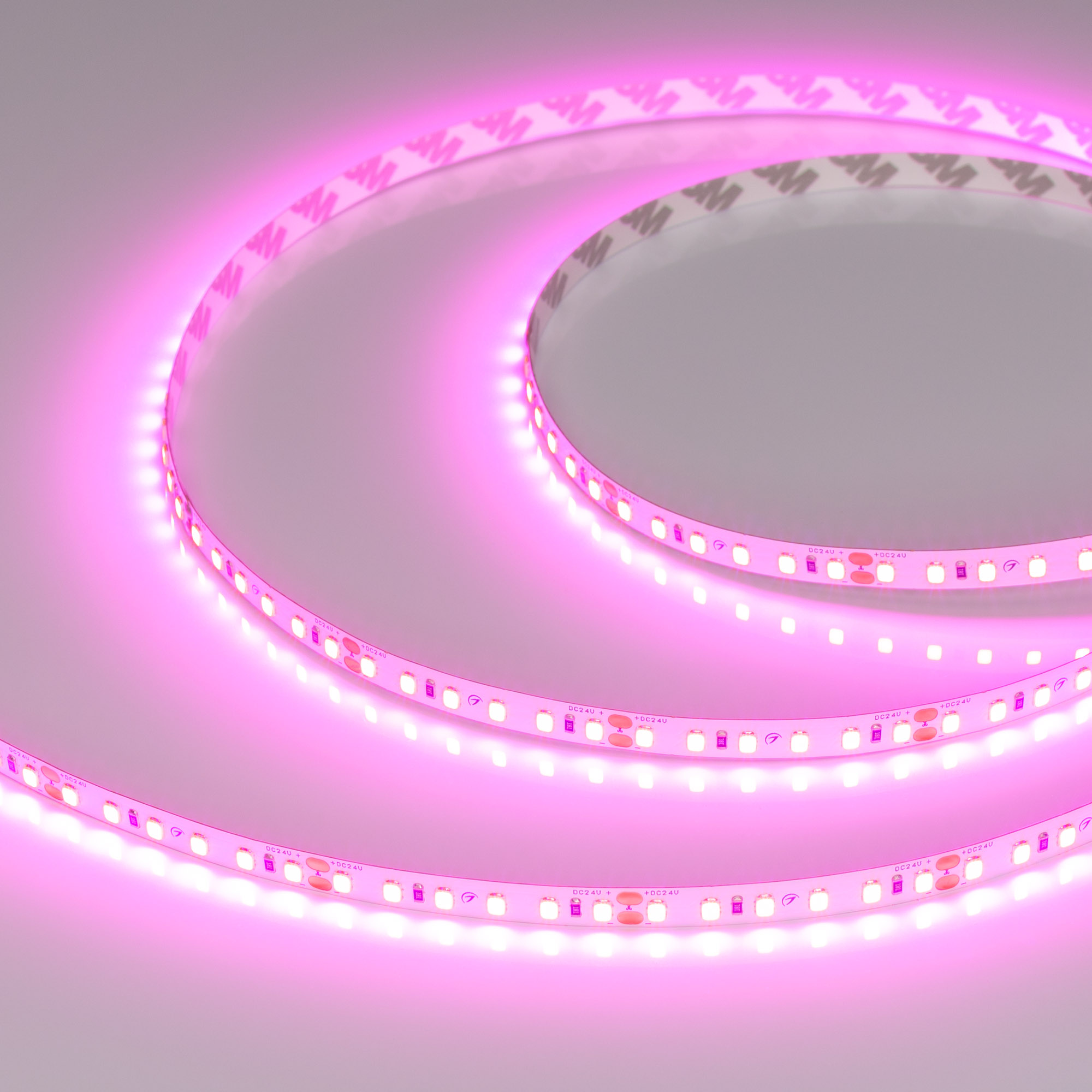 Лента RT-A120-8mm 24V Magenta (9.6 W/m, IP20, 2835, 5m) (Arlight)
