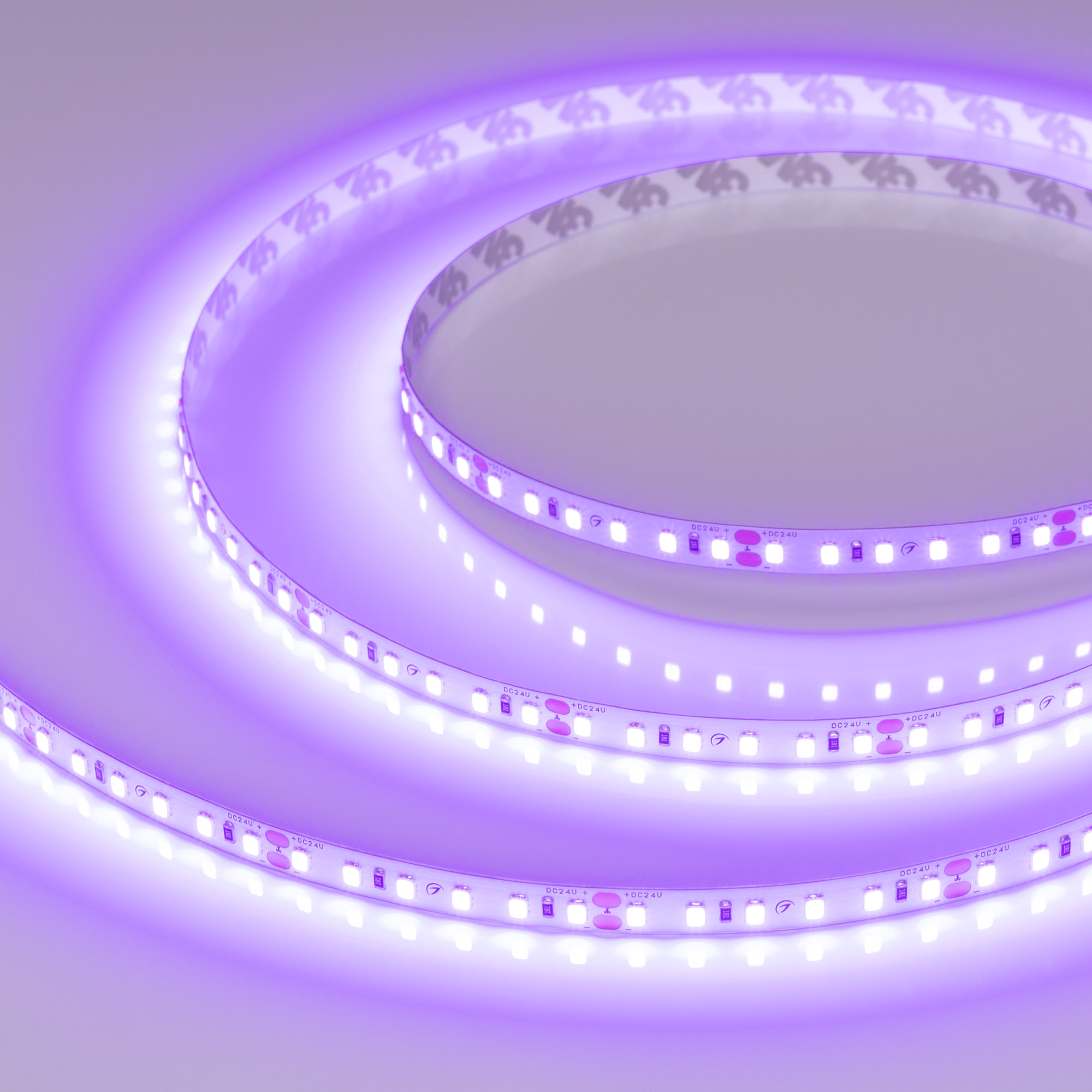 Лента RT-A120-8mm 24V Violet (9.6 W/m, IP20, 2835, 5m) (Arlight)